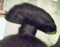 closupfanhairsmall.jpg